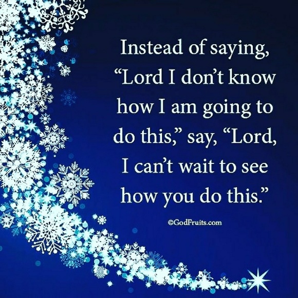 Meet your Posher, Dee - Picture 6 of 6